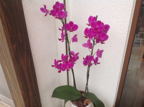 写真 2014-06-30 13 33 17