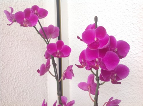 写真 2014-06-30 13 42 40