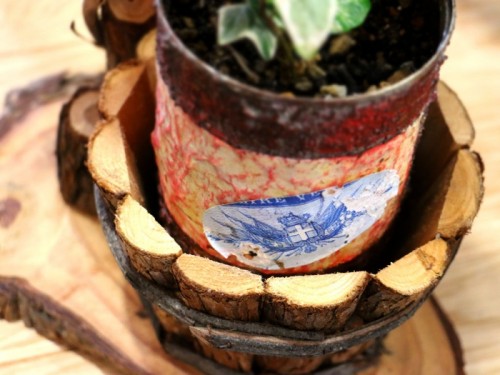 セレクトポット６