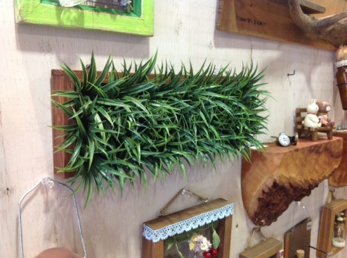 写真 2014-10-27 14 41 33