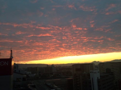 写真 2014-01-16 7 03 09