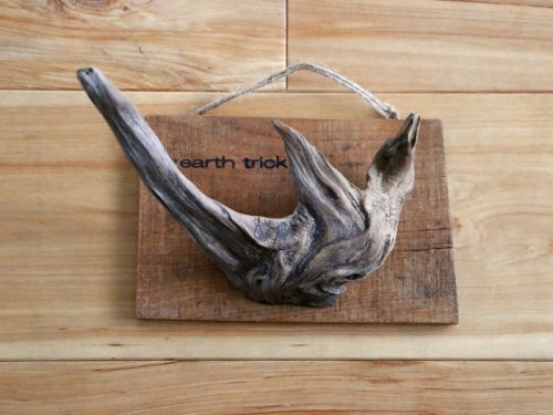 流木付きプレート