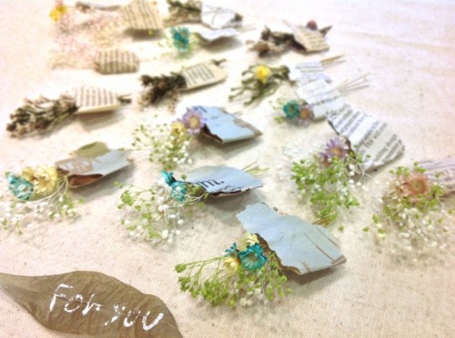 写真 2015-02-10 10 56 55の２