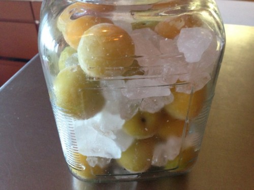 写真 2014-06-05 18 46 31