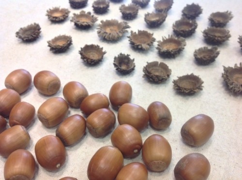 写真 2015-03-06 11 02 59