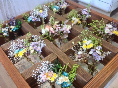 写真 2015-05-29 15 18 12