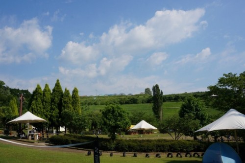 写真 2015-05-25 10 56 43