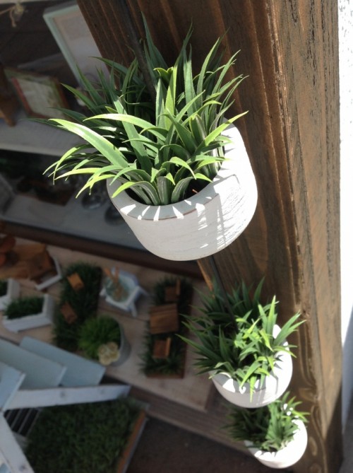 写真 2015-06-04 11 21 49