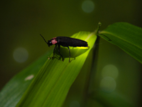 写真 2015-06-19 16 02 08