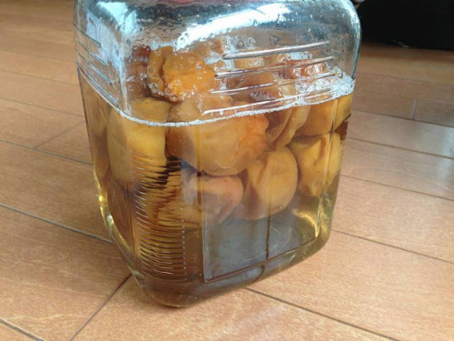 写真 2015-06-04 14 38 51