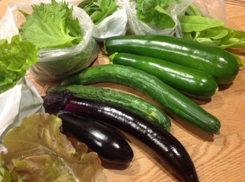 写真 2015-06-19 13 59 56