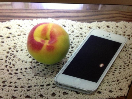 写真 2015-06-04 14 38 42