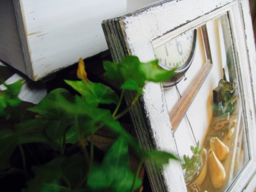 写真 2012-08-23 10 09 41