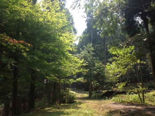 写真 2015-08-02 14 18 28