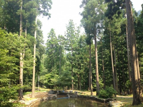 写真 2015-08-02 14 24 44