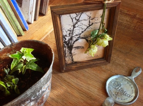 写真 2015-02-10 15 09 08