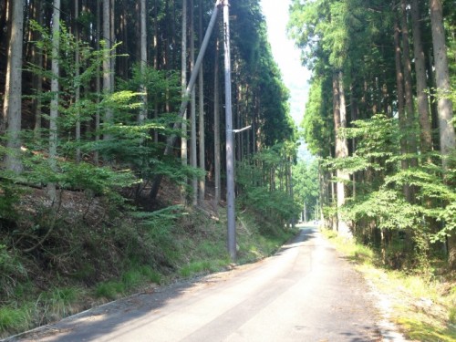 写真 2015-08-02 14 42 59
