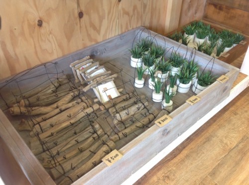 写真 2015-11-16 12 13 31