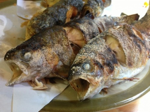 写真 2015-10-22 14 21 29