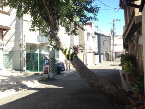 写真 2015-10-26 13 07 59