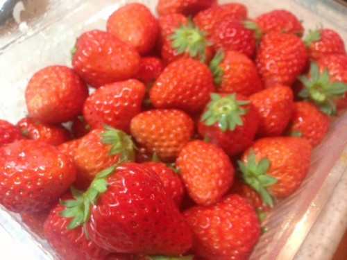 写真 2016-01-11 21 16 08