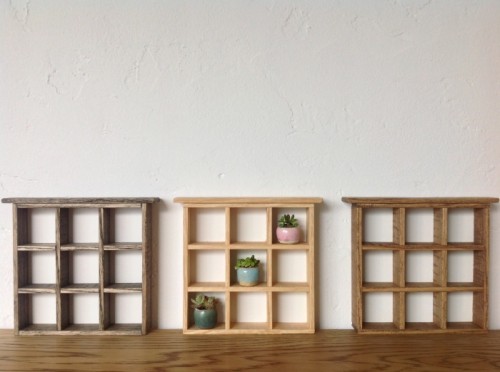 写真 2016-01-19 11 48 23